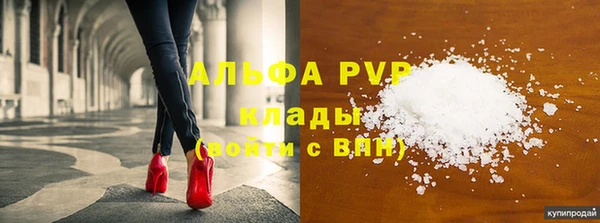 спиды Новозыбков