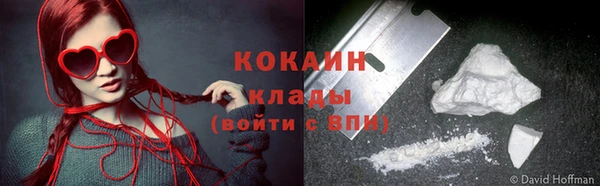 спиды Новозыбков