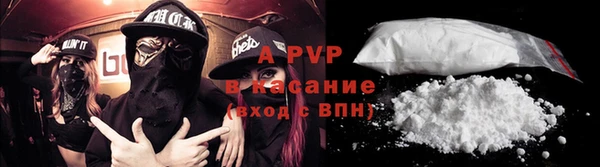 спиды Новозыбков