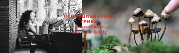 марки lsd Новодвинск