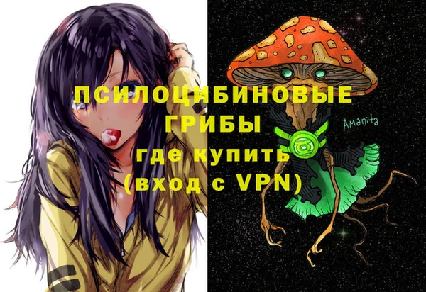 спиды Новозыбков