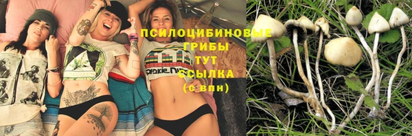 марки lsd Новодвинск