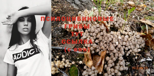 COCAINE Новокубанск